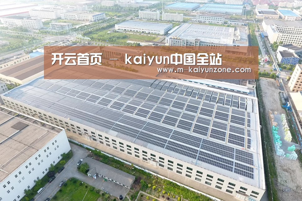 案例展示二