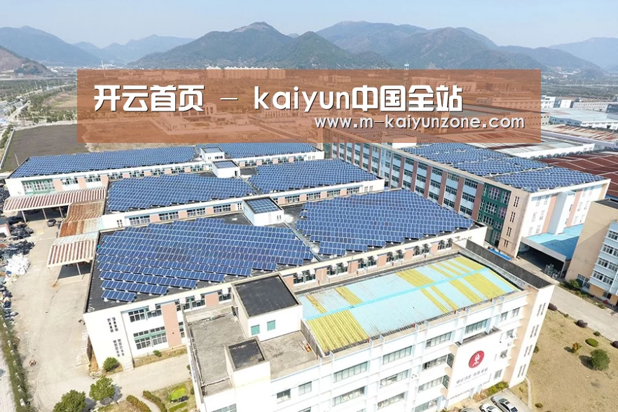 案例展示四