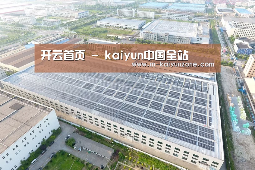 案例展示二