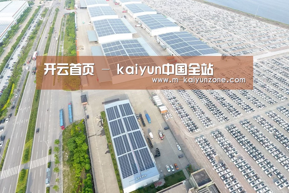 案例展示一