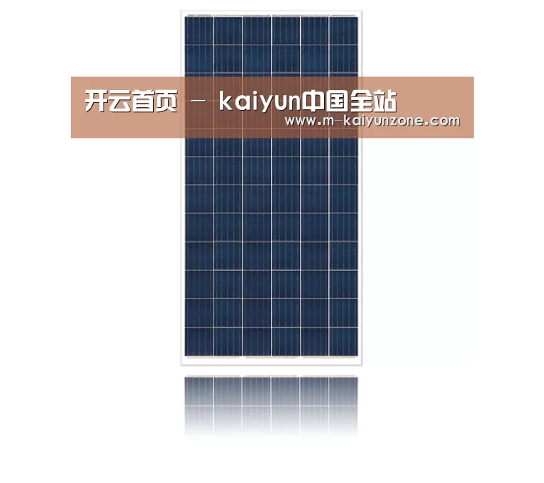 产品名称一