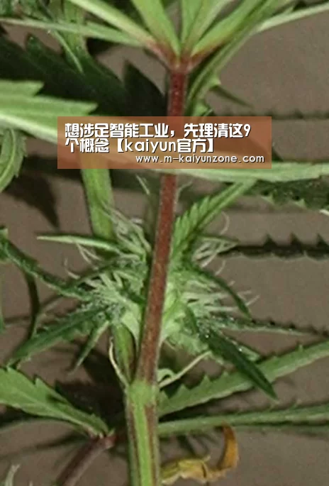 想涉足智能工业,先理清这9个概念【kai