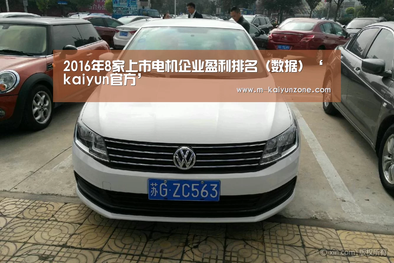 2016年8家上市电机企业盈利排名(数据)‘kaiyun官方’(图2) 2016年8家上市电机企业盈利排名(数据)‘kaiyun官方’(图2)