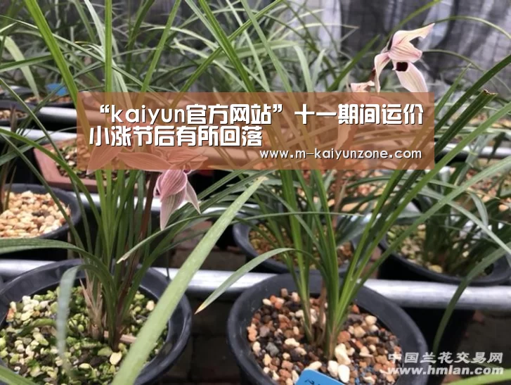kaiyun官方网站