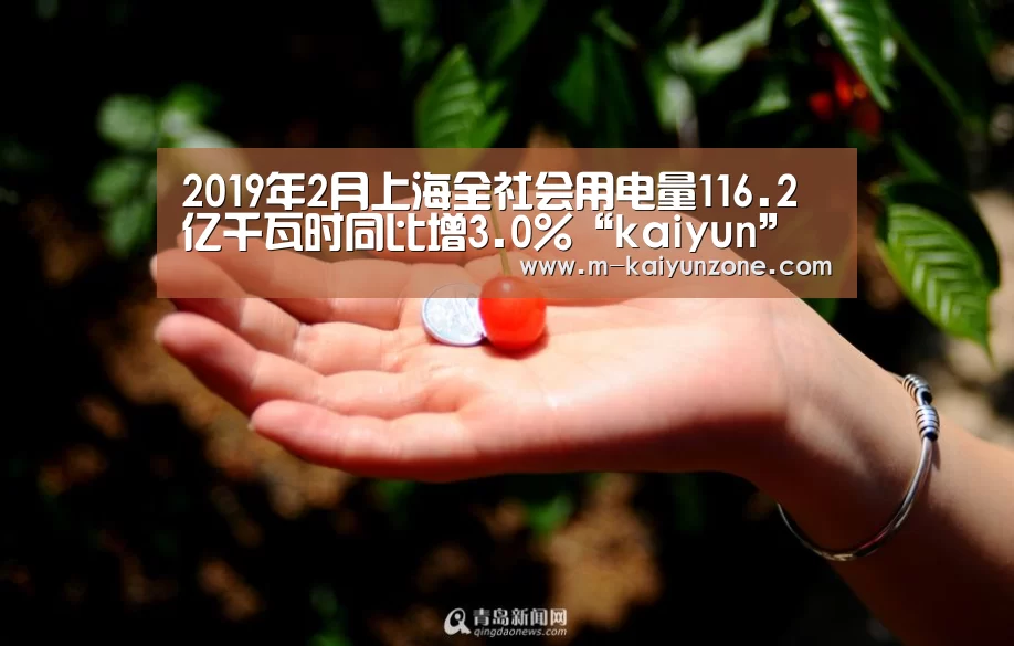 2019年2月上海全社会用电量116.2亿千瓦时同比增3.0%“kaiyun”(图2) 2019年2月上海全社会用电量116.2亿千瓦时同比增3.0%“kaiyun”(图2)