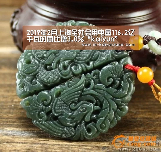 2019年2月上海全社会用电量116.2亿千瓦时同比增3.0%“kaiyun”(图1) kaiyun官方